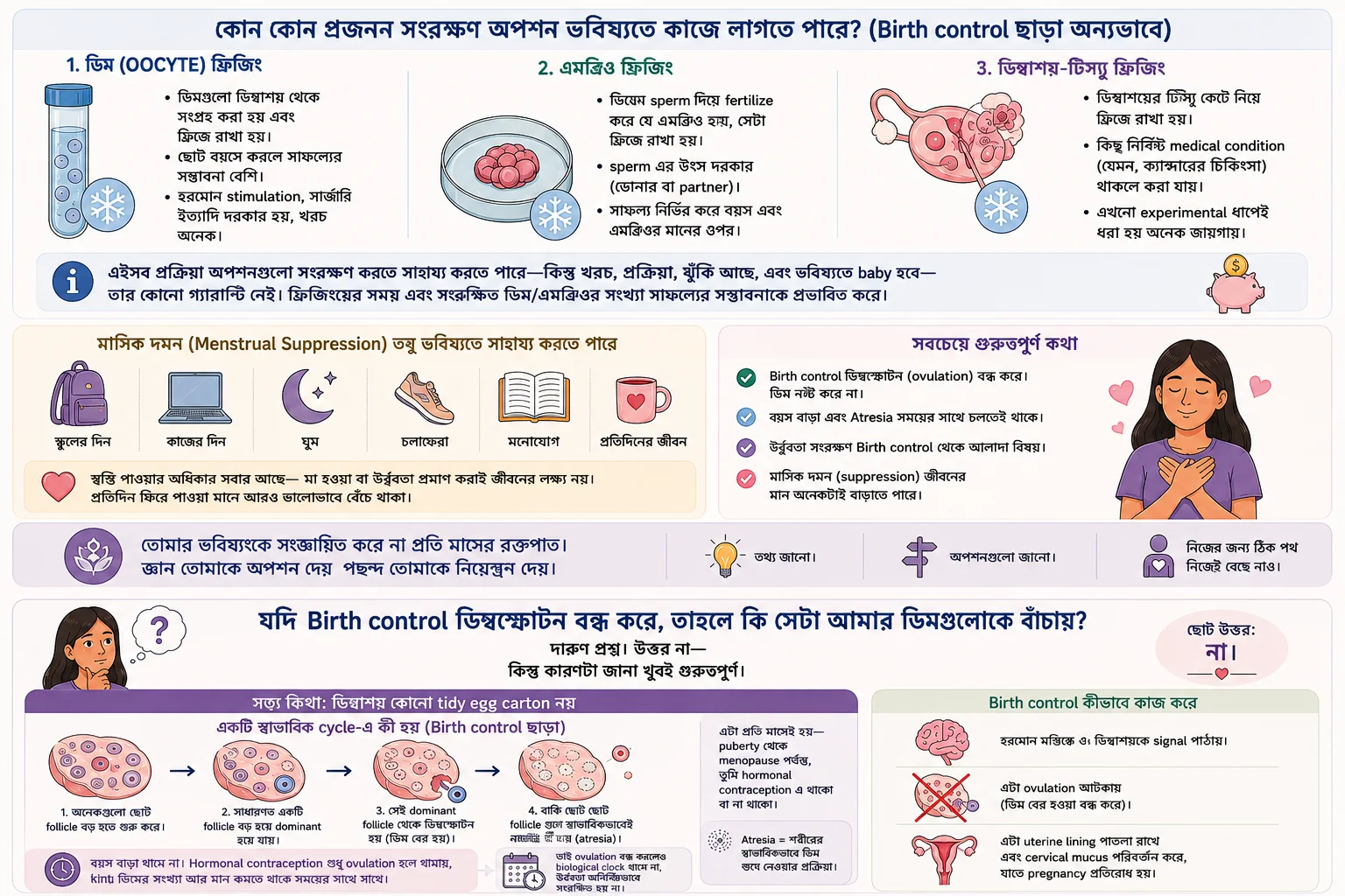 Ovulation বন্ধ করলেই ovarian ageing থামে না বা eggs অনির্দিষ্টকাল preserve হয় না—এমন Bangla illustrated guide.