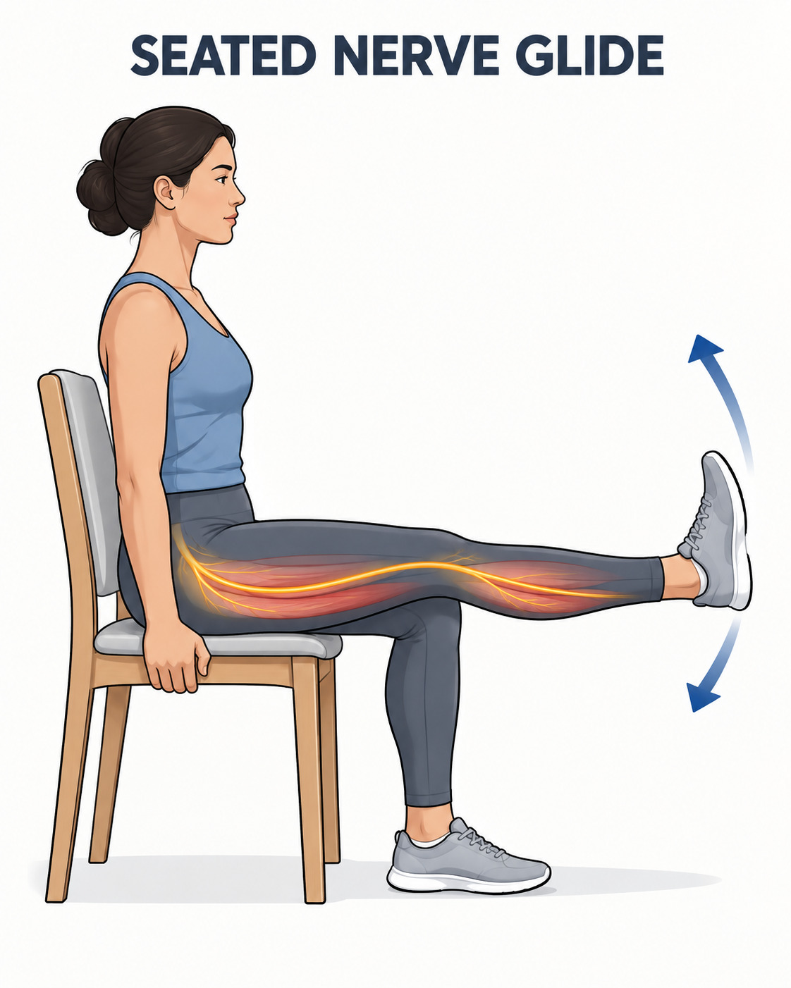 Illustration of a woman sitting upright on a firm chair and gently straightening one leg for a seated sciatic nerve glide.